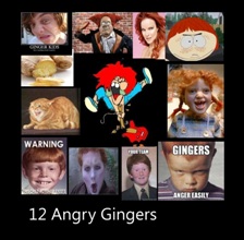 12 Angry Gingers